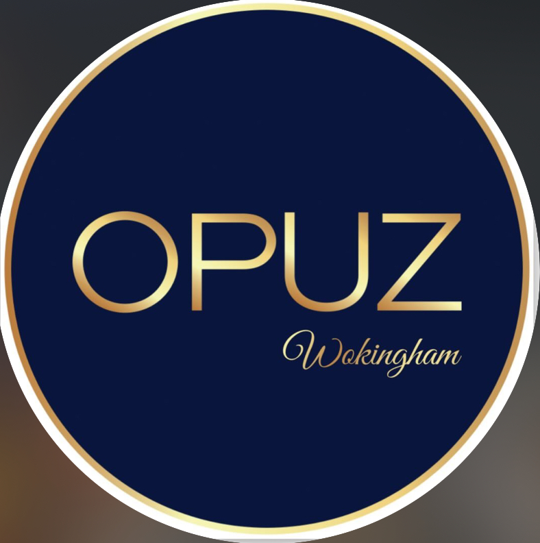 Opuz logo